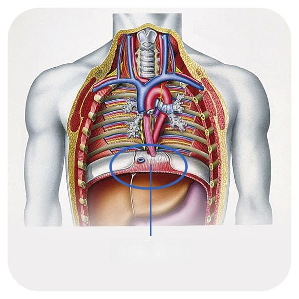 右腹肌肉痉挛的5大原因及应对方法