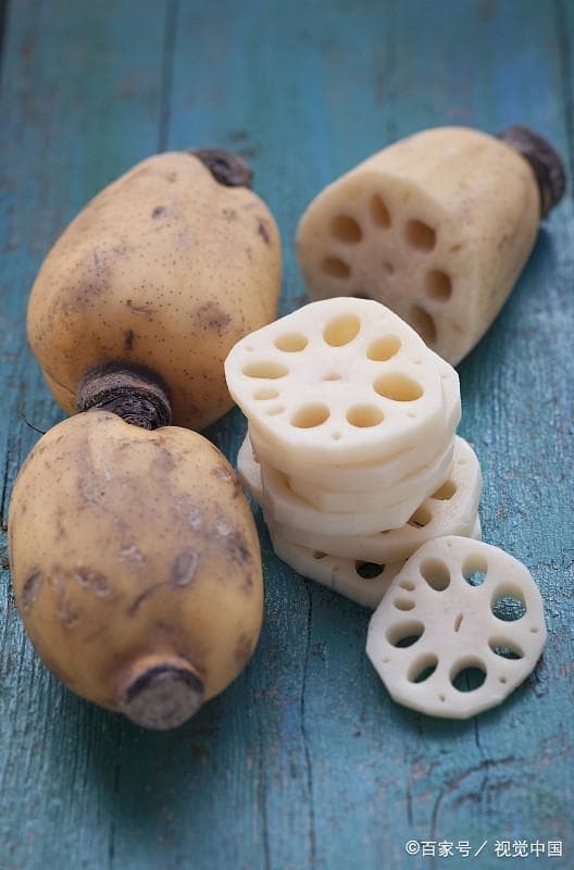 莲藕身世之谜：是根是茎？科学解析与文化溯源
