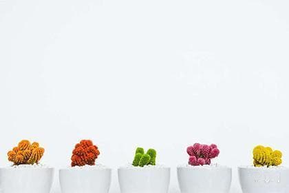 大运比肩坐偏财：女性婚姻运势解析