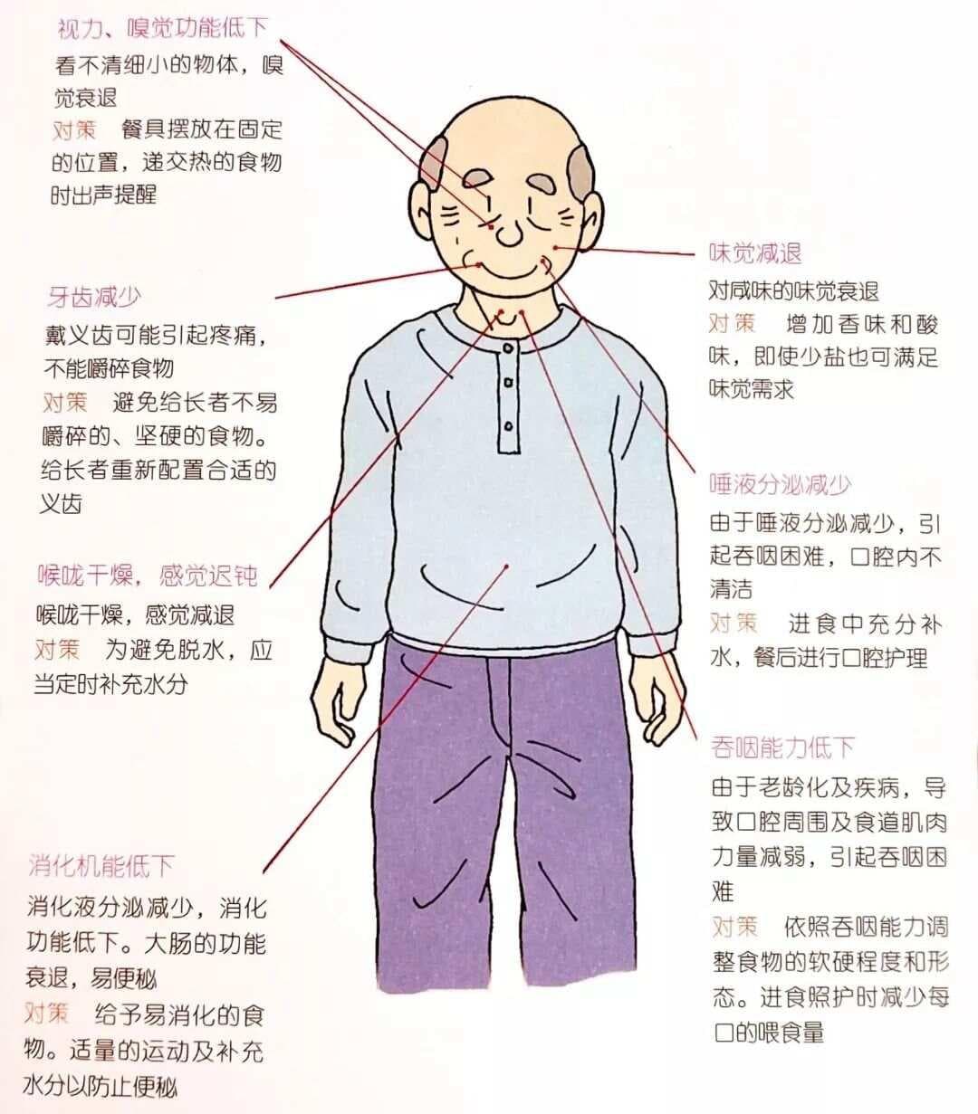 养老护理员如何做好饮食照护？这份指南请收好