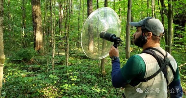 想和自己宠物对话吗?人与动物“对话”的AI模型NatureLM被推出