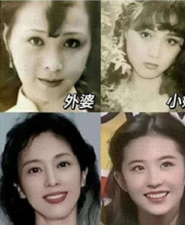 刘亦菲母亲刘晓莉：两婚两离，让5岁女儿认身家过亿的富豪为干爹