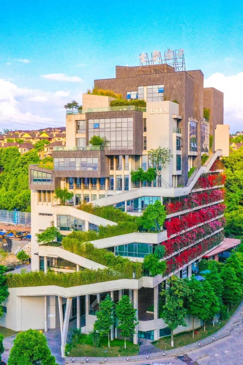 重庆楼市五年变迁：房价趋稳，房贷断供背后，法拍房市场升温