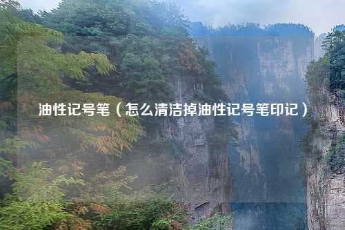 油性记号笔使用全攻略：清洁方法与推荐型号