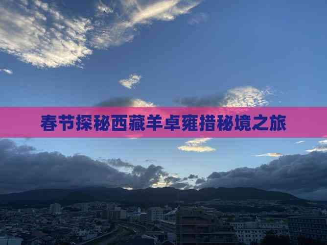 春节探秘西藏羊卓雍措秘境之旅
