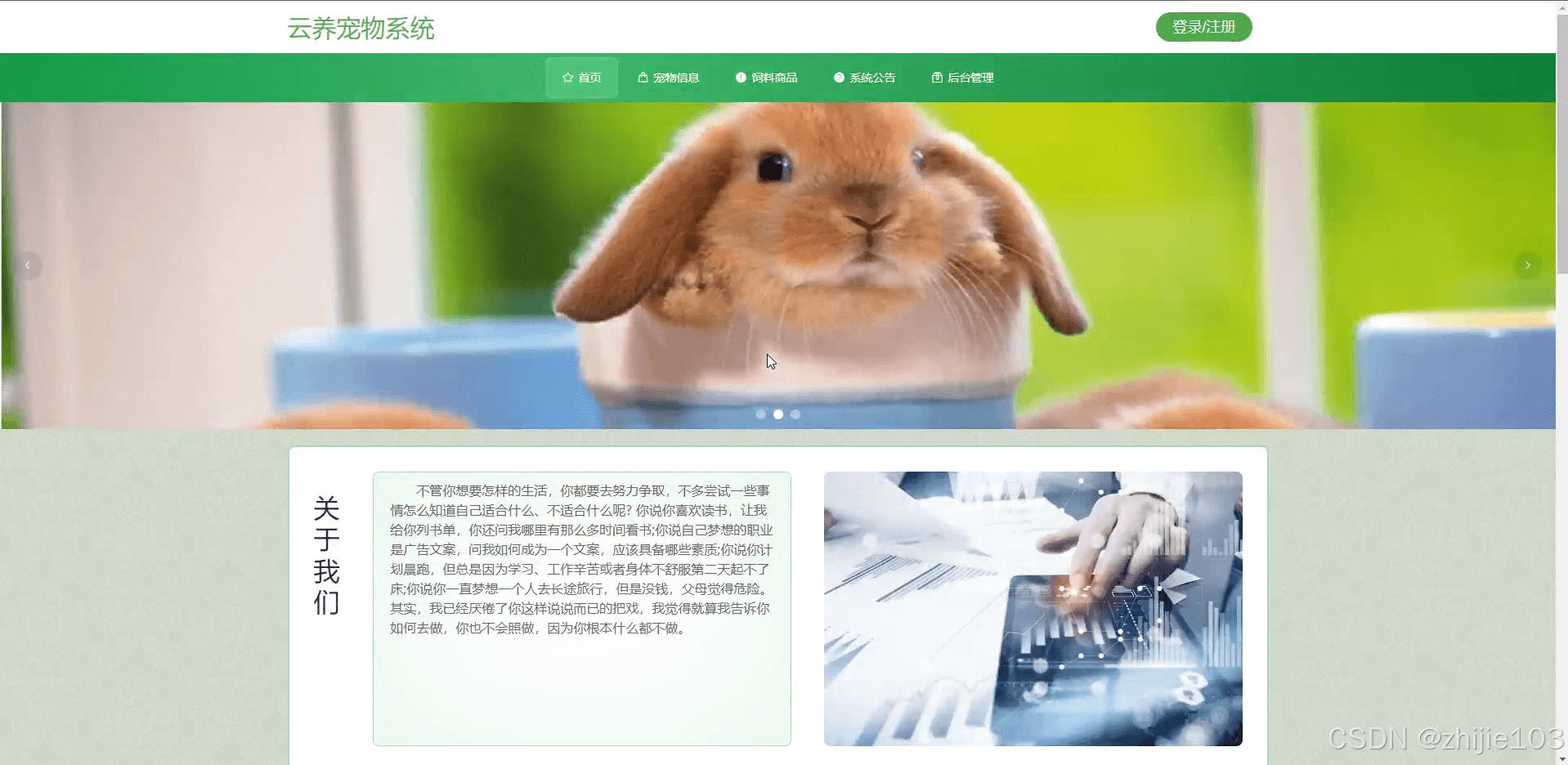 基于Django+Vue的云养宠物系统设计与实现