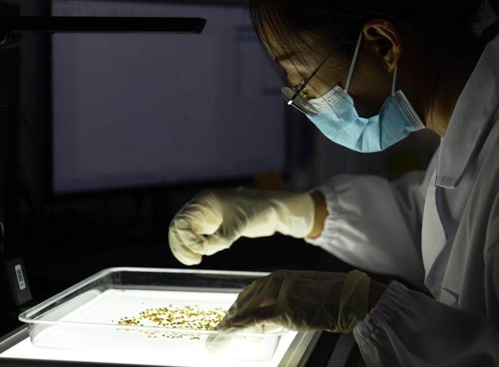 河南经济高质量发展新观察：从“三张答卷”看中部崛起新动力