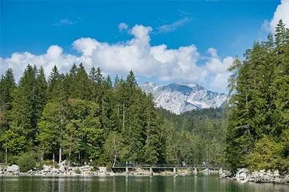 鱼缸能放在正对门口的地方吗？鱼缸风水与摆放技巧解析