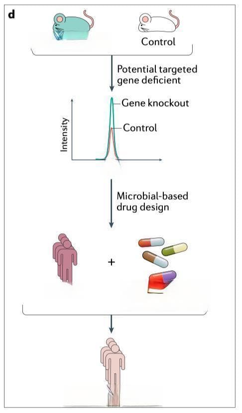 Nature综述：肠道微生物在人类代谢健康与疾病中的作用