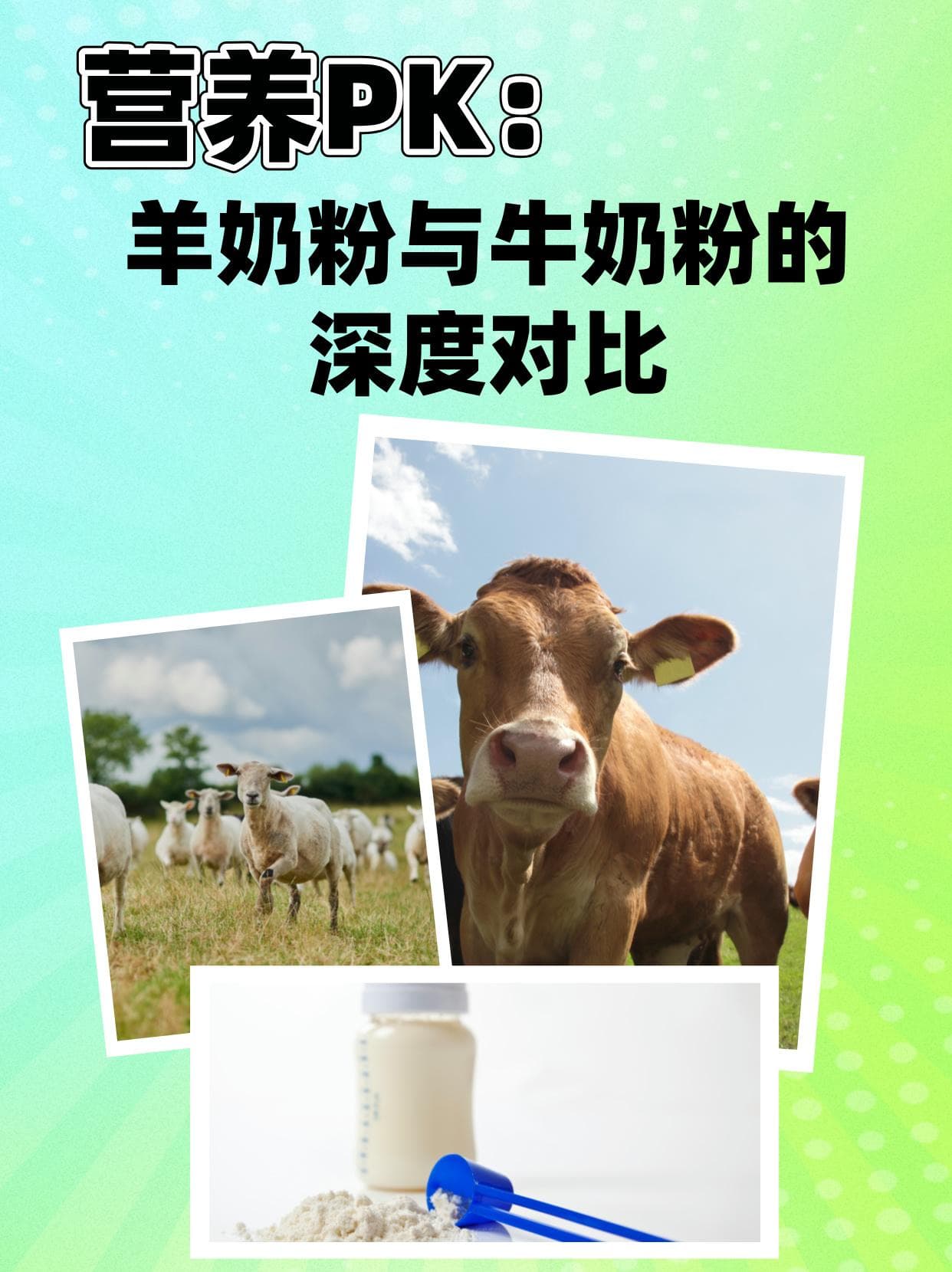 营养PK：羊奶粉与牛奶粉的深度对比