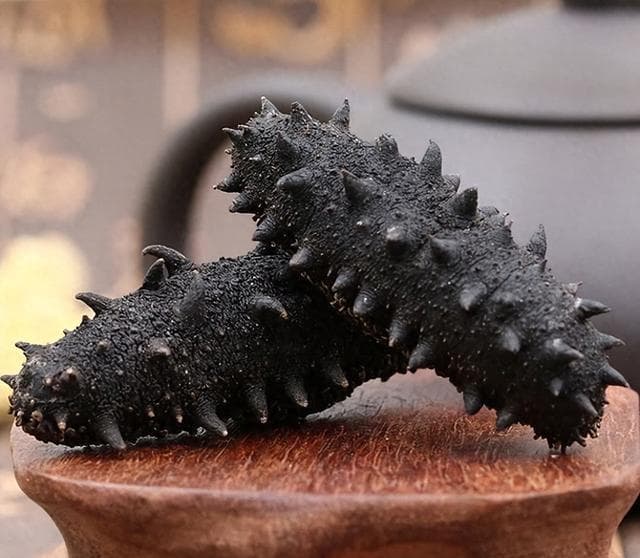 淡干海参怎么泡发最好？这个方法好用得很！