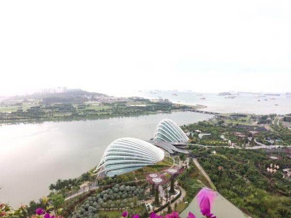 谢菲尔德大学留学指南：世界排名、申请条件及费用详解