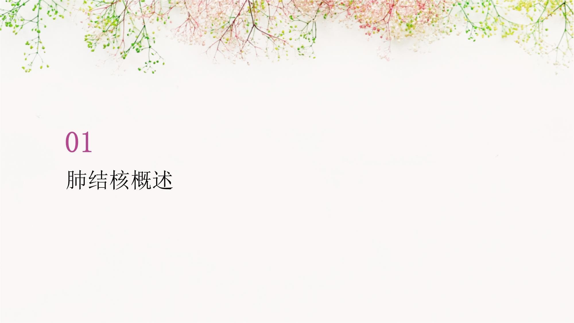 肺结核CT影像诊断