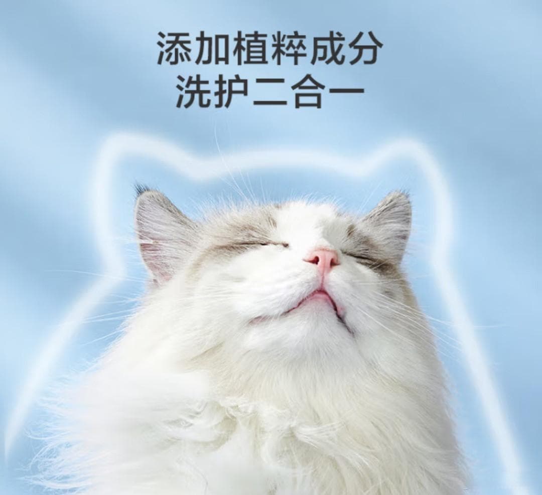 给小猫洗澡，温柔愉快。