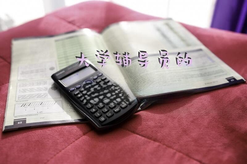大学辅导员的招聘条件？