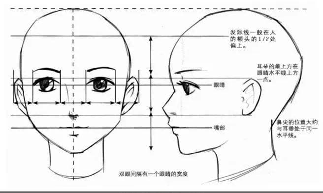 漫画入门教程：头部绘制与五官定位技巧详解