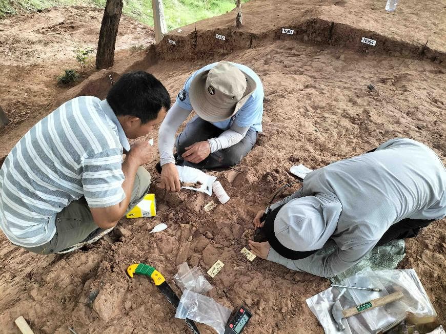 元谋猿人遗址最新考古发掘成果公布：出土8000余件动物化石