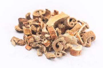 桑白皮的功效与作用