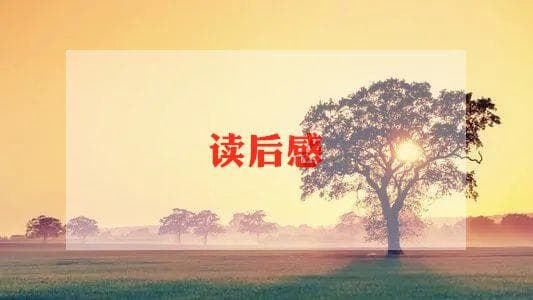 《灰尘的旅行》的读后感推荐6篇