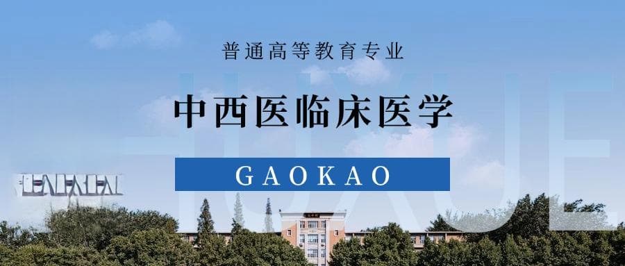 中西医临床医学专业深度解析：就业前景、考研方向与优劣势分析