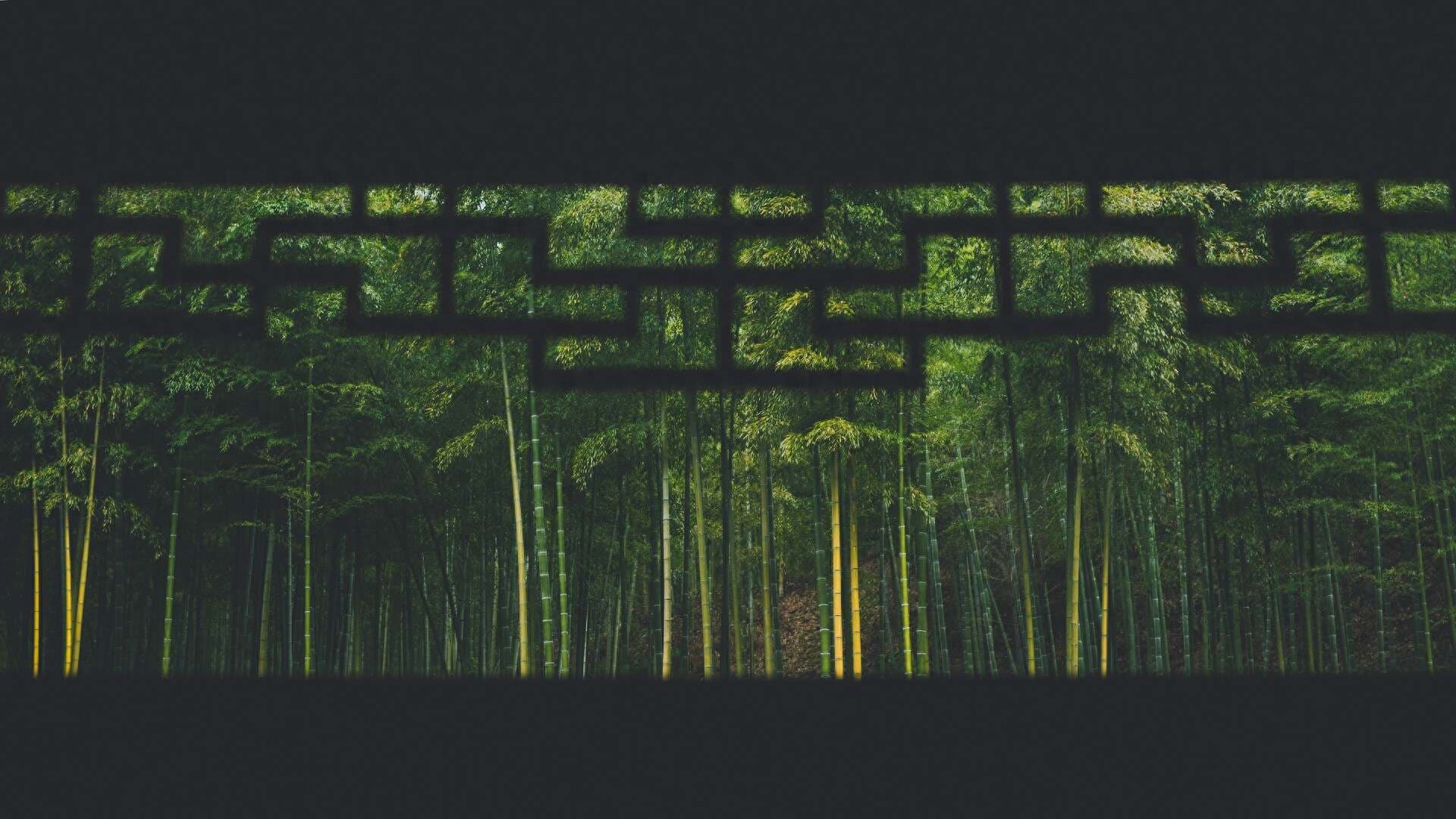 王维《竹里馆》：静谧闲适下的孤独寂寞，诗如画卷，美不胜收！
