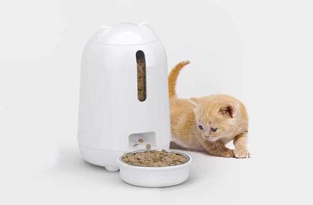 常见宠物用品有哪些 宠物用品类目大全