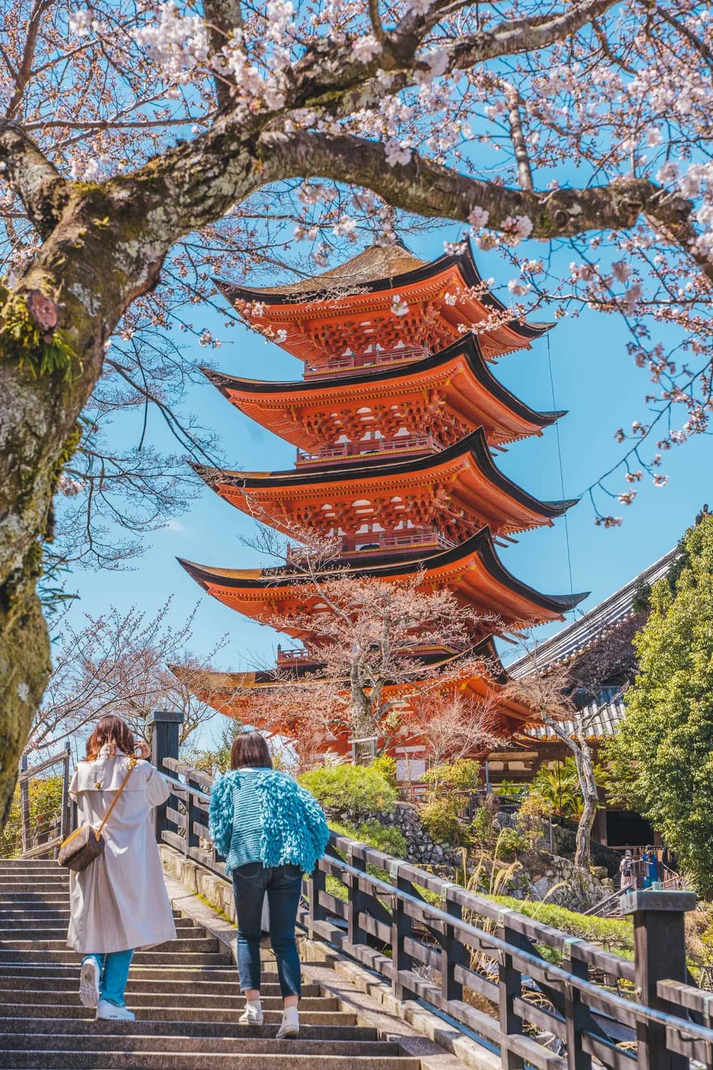 春节文旅消费券大放送！多地发放千万级消费券，掀起文旅消费新热潮