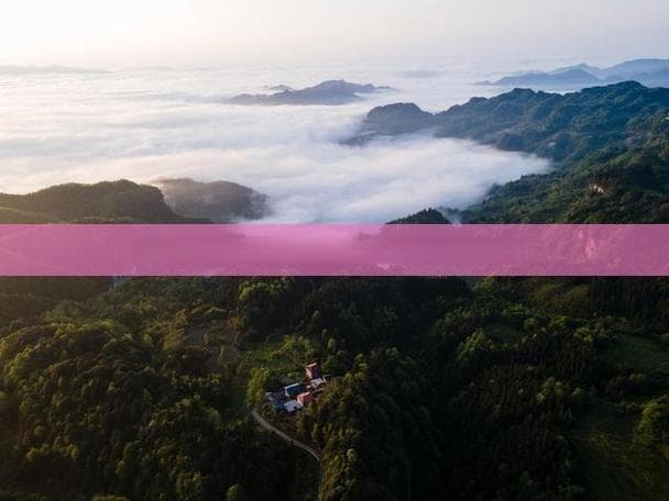 探索海南著名佛教圣地——南山寺的全方位指南