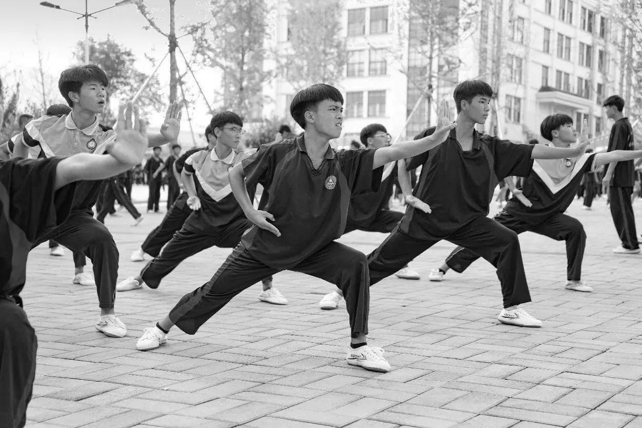 为什么学武术，学武术会带给自己什么