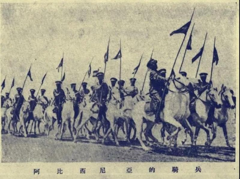 战时外交：抗战时期中国知识人对阿比西尼亚的声援