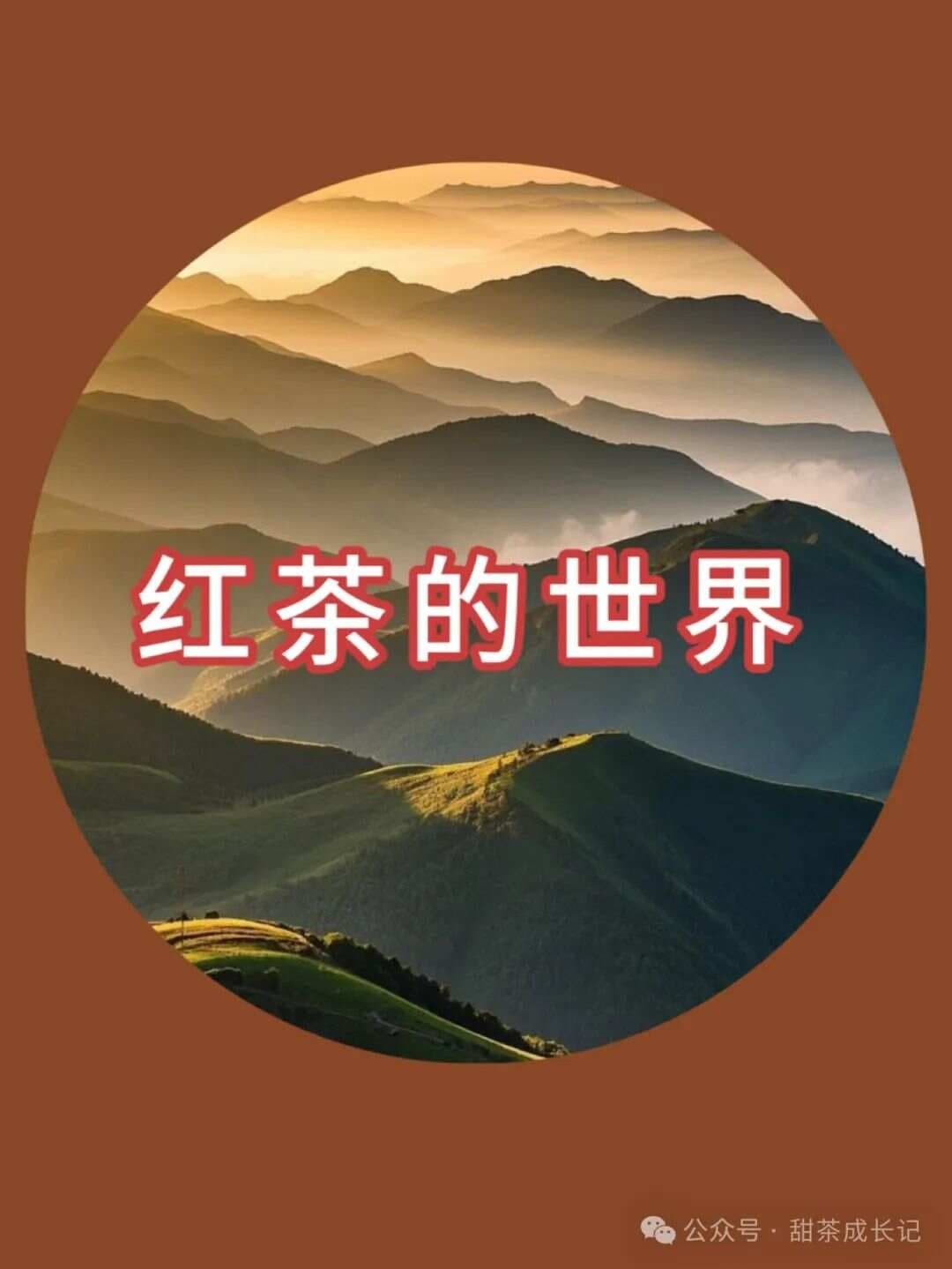 按工艺分类，原来红茶也有这么多讲究！