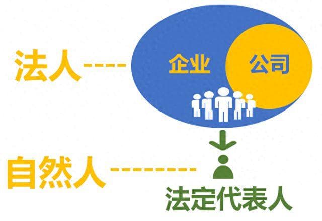 自然人和法人的区别是什么