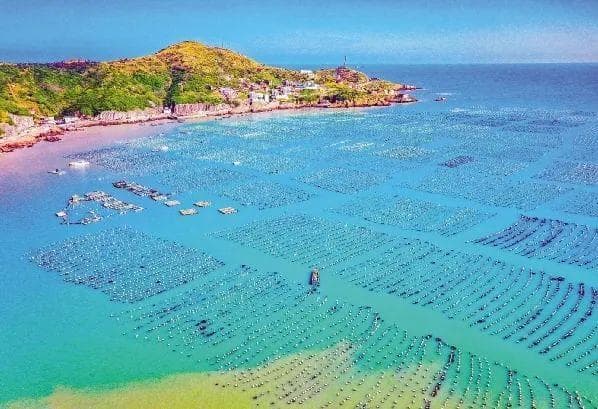 小岛的四海对话：嵊泗列岛与长山列岛的绿色发展之路