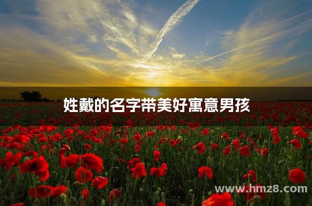 姓戴的名字带美好寓意男孩