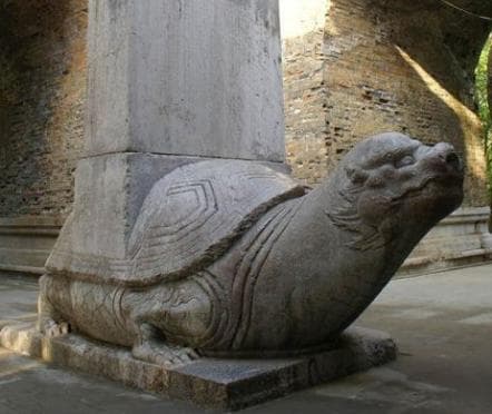 古代石碑下的龟：一种文化象征与历史传承