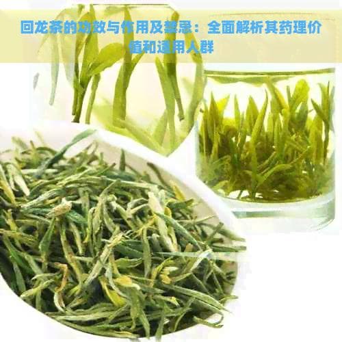 回龙茶的功效与作用及禁忌：全面解析其药理价值和适用人群