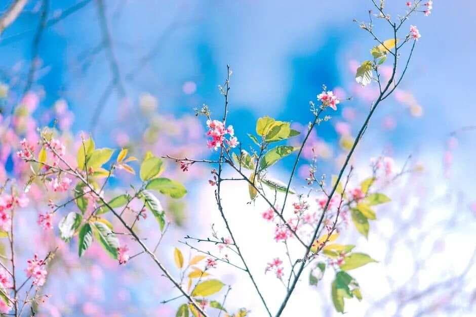 表里不一、推诿嫁祸：心术不正者的四大特征