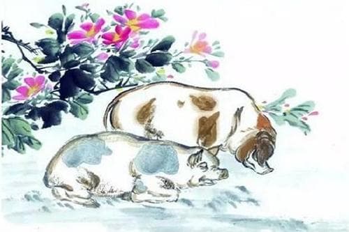 李居明属猪人2025年整体运势及运程，2025年属猪人的全年运势详解
