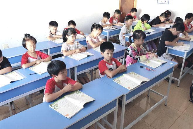 一直补课和从不补课的孩子，3方面差距显著，小学家长尤其要注意