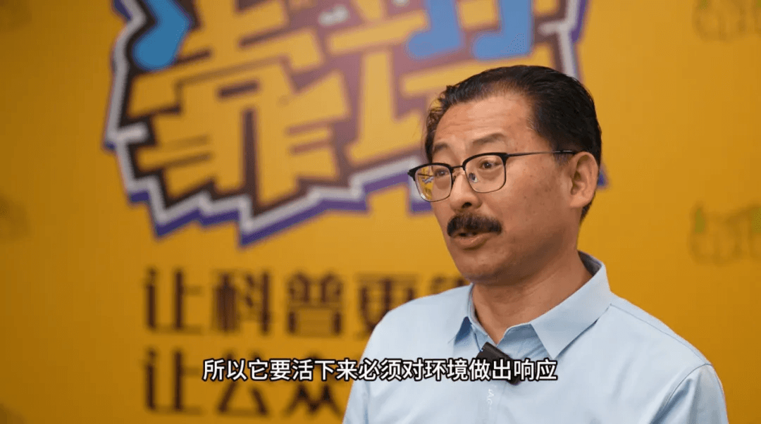 嘘，植物正在说“悄悄话”……