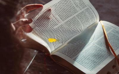 “Do” 的那些事儿：一探究竟，搞懂英文里的“做”
