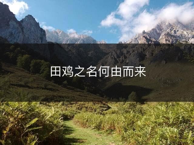 田鸡之名何由而来