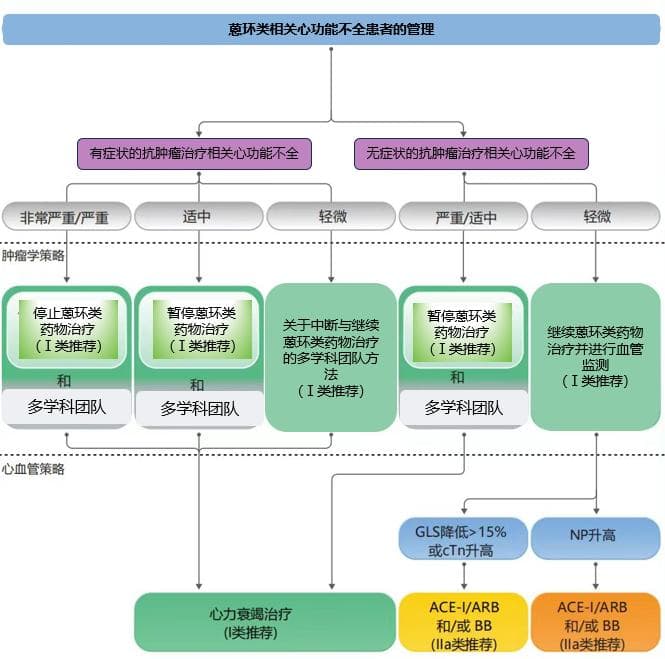 心血管疾病与肿瘤的关系：发病机制与防治策略