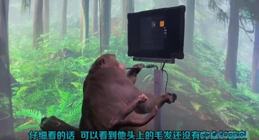 埃隆马斯克-脑机共鸣：Neuralink与未来人类智能的新篇章