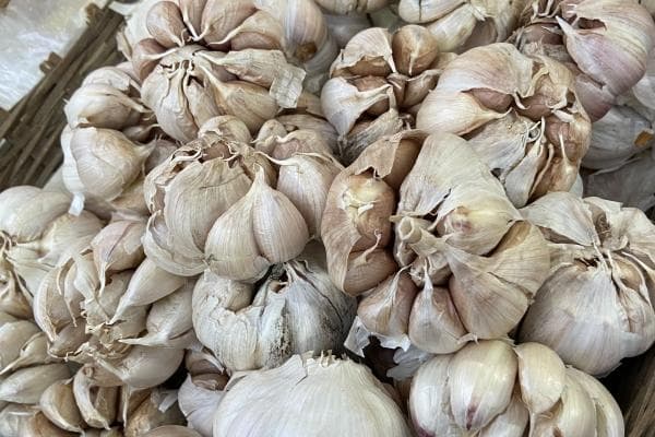 大蒜泡酒的功效与作用、禁忌和食用方法