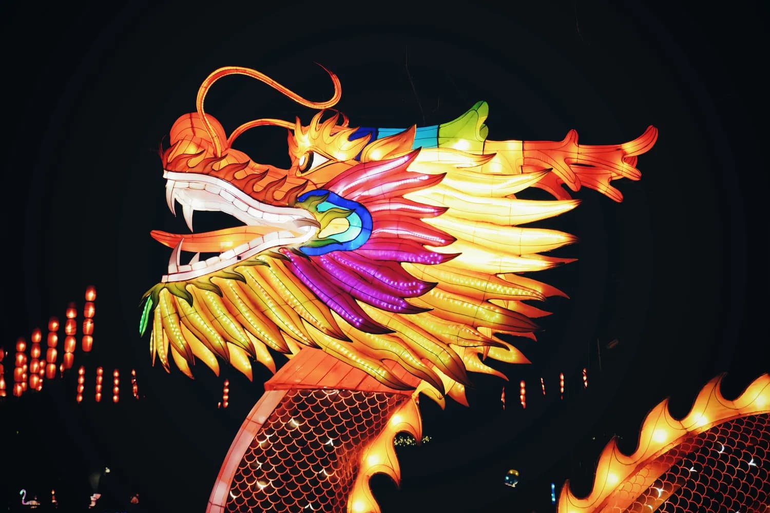 龙年喜庆头像素材，让你的节日更亮眼
