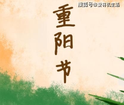 重阳节为什么要赏菊花？