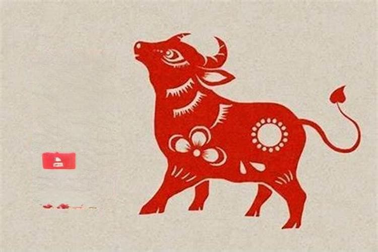 八字五行平衡与命运的关系