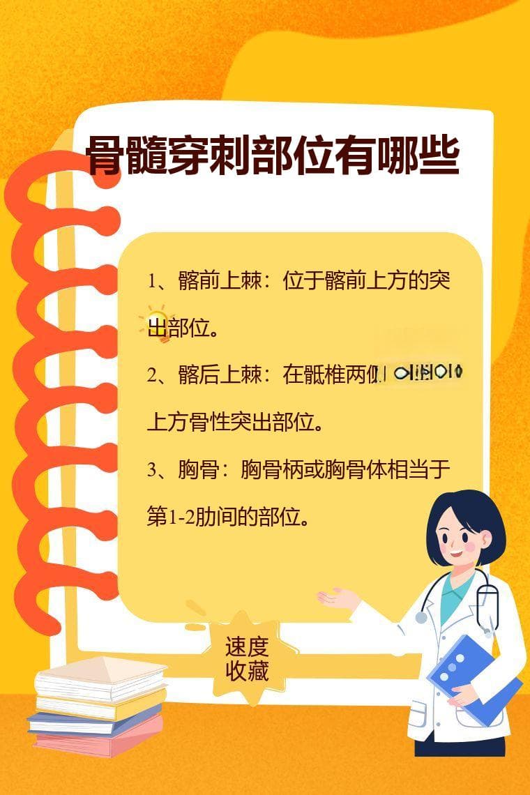 骨髓穿刺部位有哪些