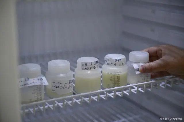 母乳放置3小时后还能喝吗？母乳保存有讲究，存储与保鲜全攻略